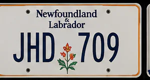 newfoundland